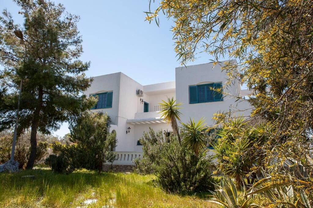 Villa Velissarios: Wonderful Villa Next To Beach Aegina ภายนอก รูปภาพ