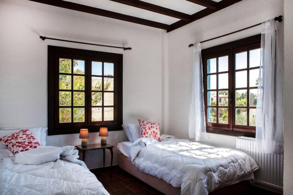 Villa Velissarios: Wonderful Villa Next To Beach Aegina ภายนอก รูปภาพ