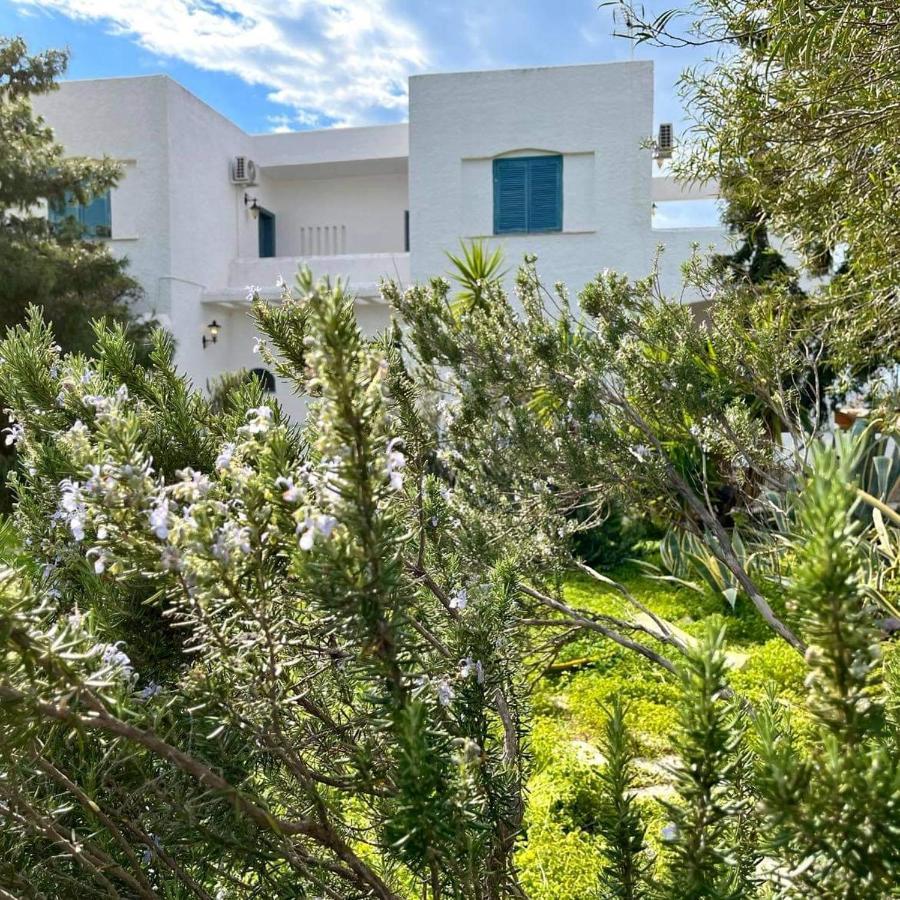 Villa Velissarios: Wonderful Villa Next To Beach Aegina ภายนอก รูปภาพ